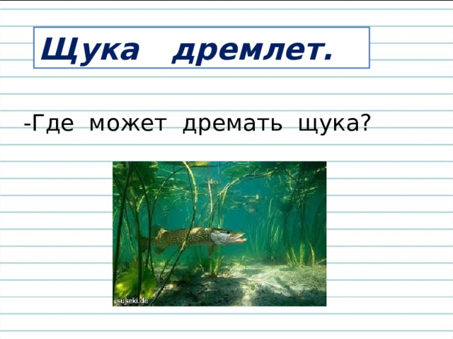 Отгадайте загадку. Хвостиком виляет, Зубаста, а не лает. 