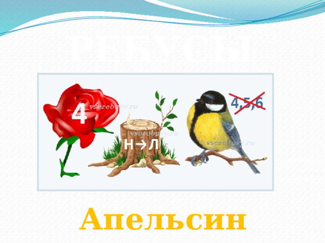 РЕБУСЫ Апельсин 