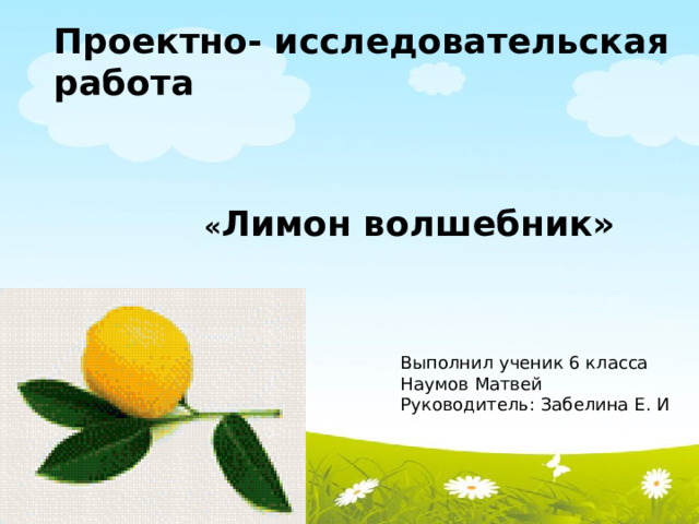 Проектно- исследовательская работа  « Лимон волшебник»     Выполнил ученик 6 класса  Наумов Матвей  Руководитель: Забелина Е. И 