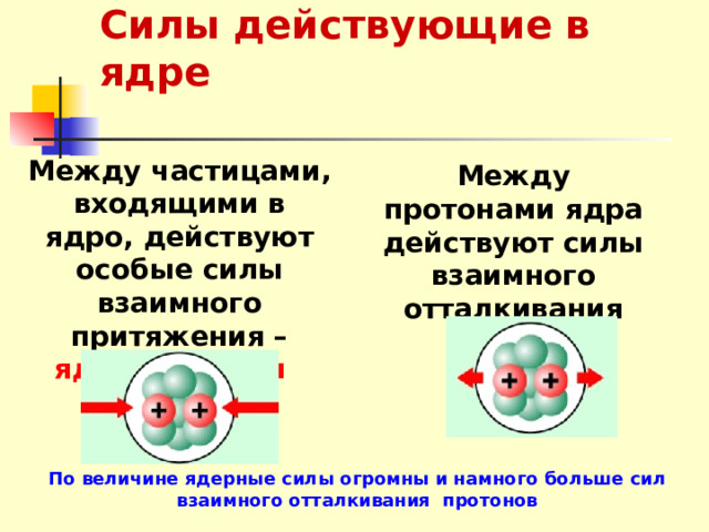 Силы действующие в ядре Между частицами, входящими в ядро, действуют особые силы взаимного притяжения – ядерные силы Между протонами ядра действуют силы взаимного отталкивания По величине ядерные силы огромны и намного больше сил взаимного отталкивания протонов 