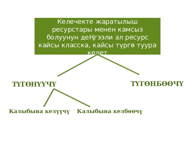 Келечекте жаратылыш ресурстары менен камсыз болуунун деҢгээли ал ресурс кайсы класска, кайсы түргө туура келет ТҮГӨНҮҮЧҮ ТҮГӨНБӨӨЧҮ Калыбына келүүчү Калыбына келбөөчү 