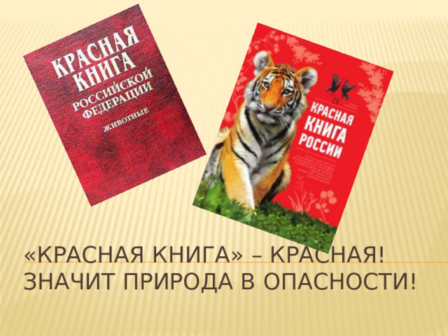 «Красная книга» – Красная!  Значит природа в опасности! 