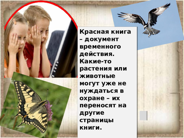 Красная книга – документ временного действия. Какие-то растения или животные могут уже не нуждаться в охране – их переносят на другие страницы книги.   