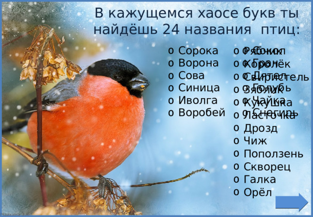 В кажущемся хаосе букв ты найдёшь 24 названия птиц: Рябчик Королёк Свиристель Зяблик Кукушка Ласточка Дрозд Чиж Поползень Скворец Галка Орёл Сорока Ворона Сова Синица Иволга Воробей Сокол Грач Дятел Голубь Чайка Снегирь ©Чайкина З.А. 