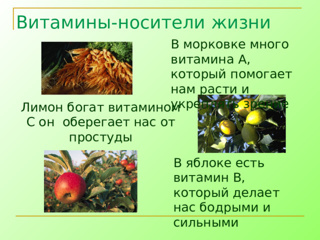 Витамины-носители жизни В морковке много витамина А, который помогает нам расти и укреплять зрение Лимон богат витамином С он оберегает нас от простуды В яблоке есть витамин В, который делает нас бодрыми и сильными 
