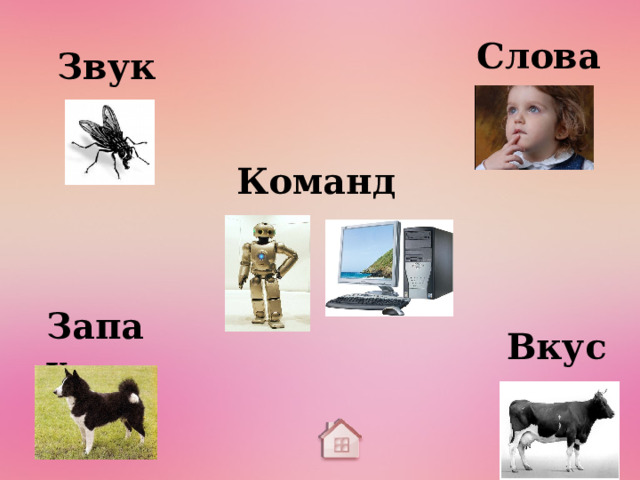 Слова Звук Команды Запах Вкус 