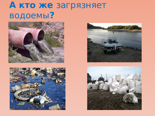 А кто же загрязняет водоемы ? 
