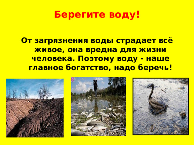 Берегите воду!  От загрязнения воды страдает всё живое, она вредна для жизни человека. Поэтому воду - наше главное богатство, надо беречь! 