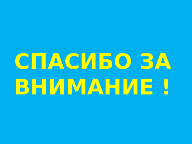 СПАСИБО ЗА ВНИМАНИЕ ! 