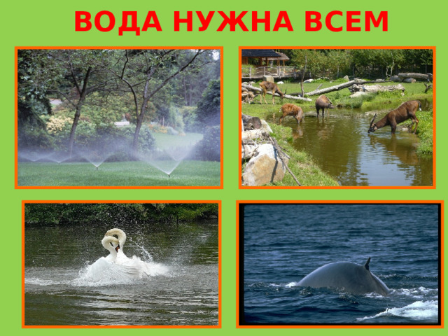 ВОДА НУЖНА ВСЕМ 