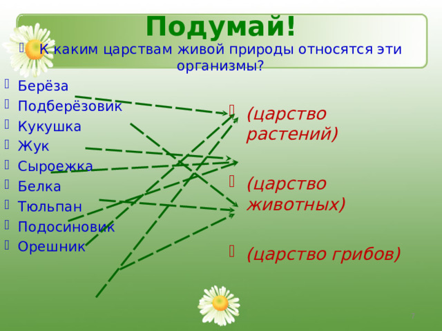 Подумай!   К каким царствам живой природы относятся эти организмы? Берёза Подберёзовик Кукушка Жук Сыроежка Белка Тюльпан Подосиновик Орешник (царство растений)  (царство животных)  (царство грибов)  