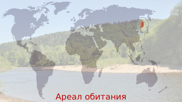 Ареал обитания 
