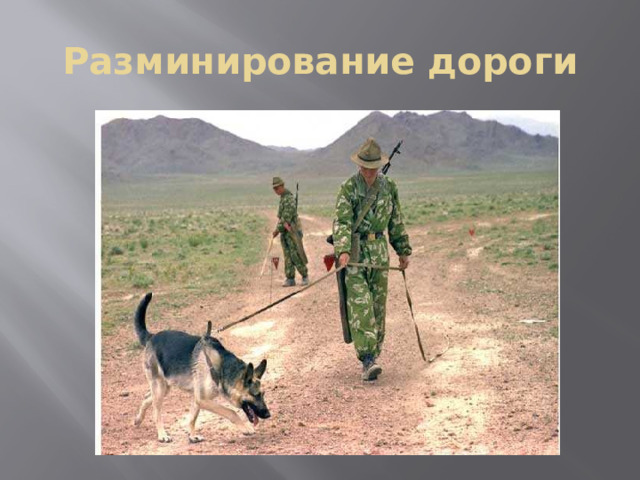 Разминирование дороги 