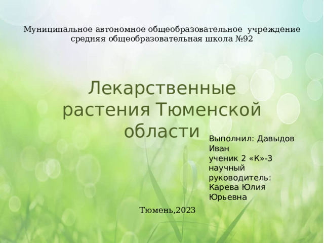Муниципальное автономное общеобразовательное учреждение средняя общеобразовательная школа №92 Лекарственные растения Тюменской области Выполнил: Давыдов Иван ученик 2 «К»-3 научный руководитель: Карева Юлия Юрьевна Тюмень,2023 
