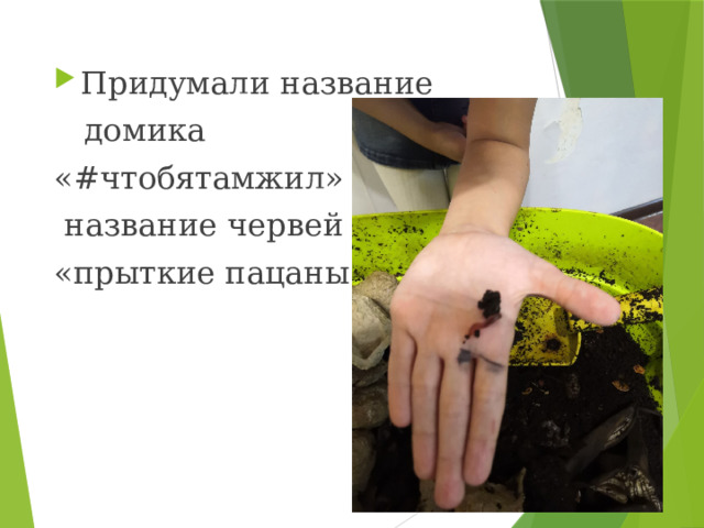 Придумали название  домика «#чтобятамжил» и  название червей «прыткие пацаны». 