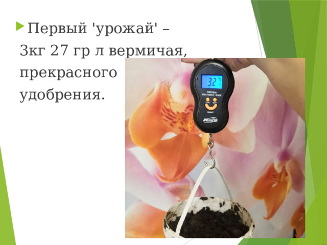 Первый 'урожай' –  3кг 27 гр л вермичая,  прекрасного  удобрения. 