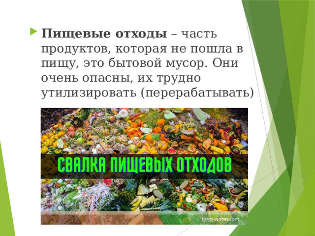 Пищевые отходы – часть продуктов, которая не пошла в пищу, это бытовой мусор. Они очень опасны, их трудно утилизировать (перерабатывать) 