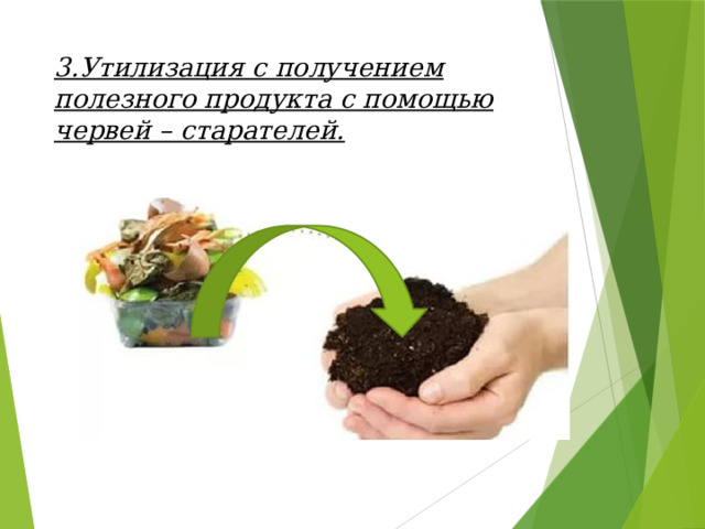 3.Утилизация с получением полезного продукта с помощью червей – старателей. 