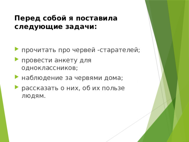 Перед собой я поставила следующие задачи:   прочитать про червей -старателей; провести анкету для одноклассников; наблюдение за червями дома; рассказать о них, об их пользе людям. 