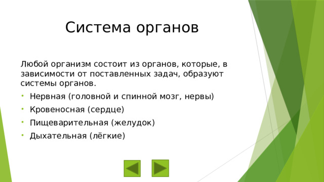 Система органов Любой организм состоит из органов, которые, в зависимости от поставленных задач, образуют системы органов. Нервная (головной и спинной мозг, нервы) Кровеносная (сердце) Пищеварительная (желудок) Дыхательная (лёгкие) 