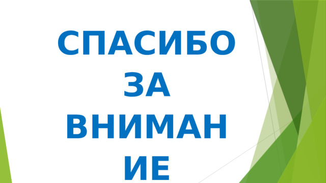 СПАСИБО ЗА ВНИМАНИЕ 