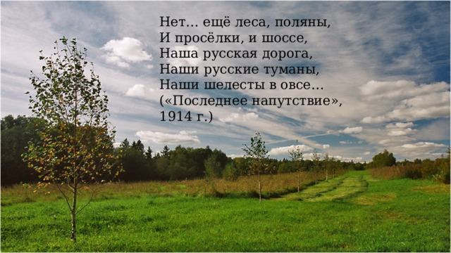 Нет… ещё леса, поляны, И просёлки, и шоссе, Наша русская дорога, Наши русские туманы, Наши шелесты в овсе… («Последнее напутствие», 1914 г.) 