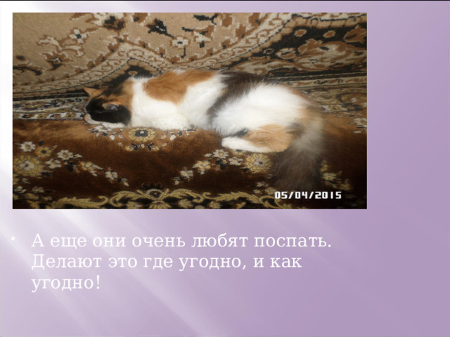А еще они очень любят поспать. Делают это где угодно, и как угодно! 