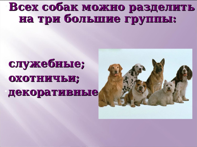 Всех собак можно разделить на три большие группы:    служебные; охотничьи; декоративные .   