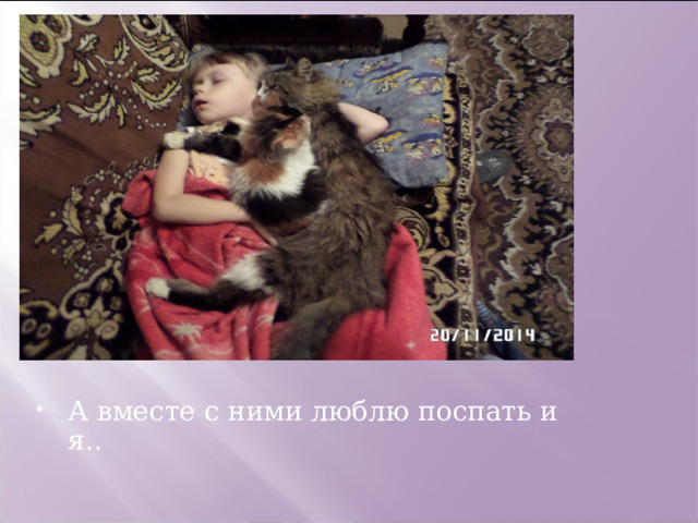 А вместе с ними люблю поспать и я.. 
