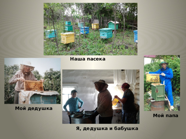 Наша пасека Мой дедушка Мой папа Я, дедушка и бабушка 