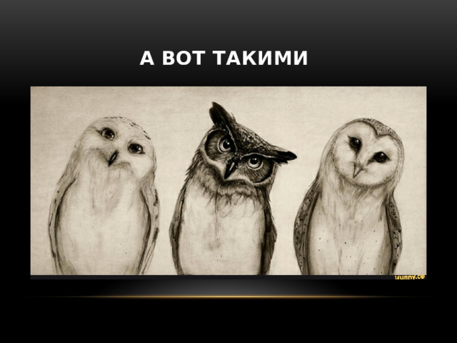  А вот такими 