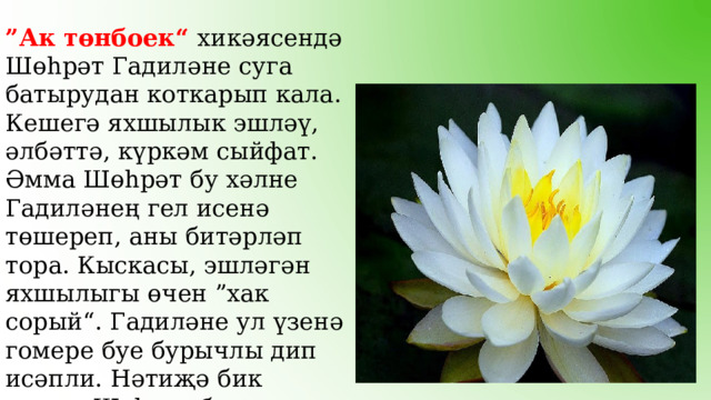 ” Ак төнбоек“ хикәясендә Шөһрәт Гадиләне суга батырудан коткарып кала. Кешегә яхшылык эшләү, әлбәттә, күркәм сыйфат. Әмма Шөһрәт бу хәлне Гадиләнең гел исенә төшереп, аны битәрләп тора. Кыскасы, эшләгән яхшылыгы өчен ”хак сорый“. Гадиләне ул үзенә гомере буе бурычлы дип исәпли. Нәтиҗә бик аяныч-Шөһрәт балачактан уйнап үскән дустын югалта. 