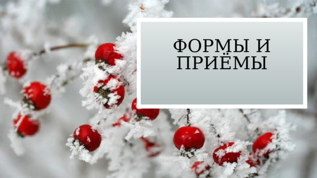 Формы и приёмы 