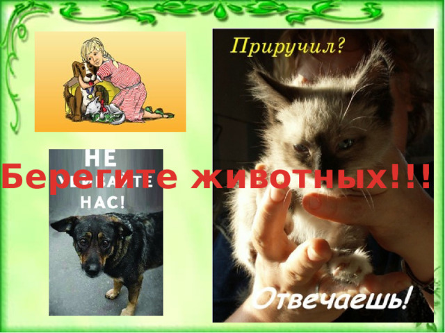 Берегите животных!!! 