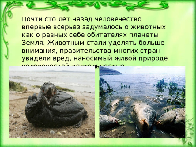Почти сто лет назад человечество впервые всерьез задумалось о животных как о равных себе обитателях планеты Земля. Животным стали уделять больше внимания, правительства многих стран увидели вред, наносимый живой природе человеческой деятельностью. 