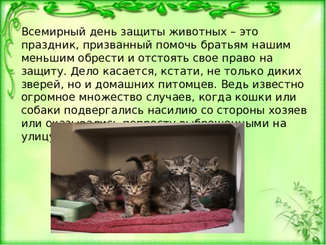 Всемирный день защиты животных – это праздник, призванный помочь братьям нашим меньшим обрести и отстоять свое право на защиту. Дело касается, кстати, не только диких зверей, но и домашних питомцев. Ведь известно огромное множество случаев, когда кошки или собаки подвергались насилию со стороны хозяев или оказывались попросту выброшенными на улицу. 