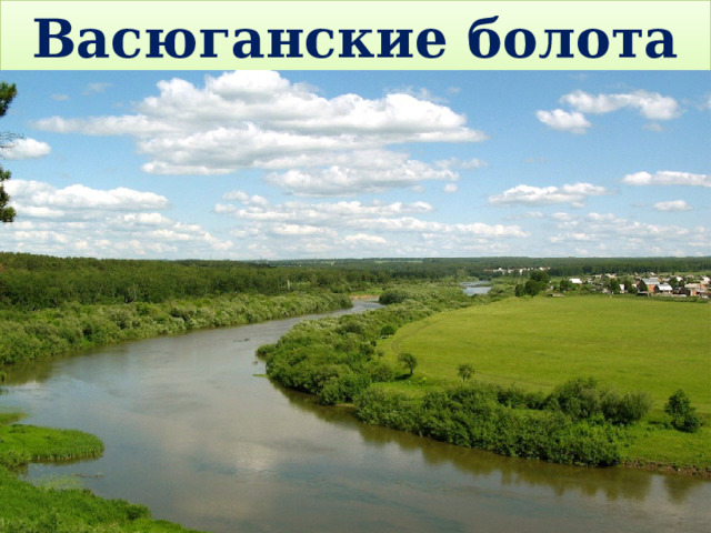 Васюганские болота 