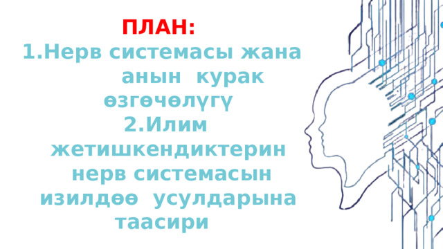 ПЛАН:  Нерв системасы жана анын курак өзгөчөлүгү Илим жетишкендиктерин нерв системасын изилдөө усулдарына таасири 
