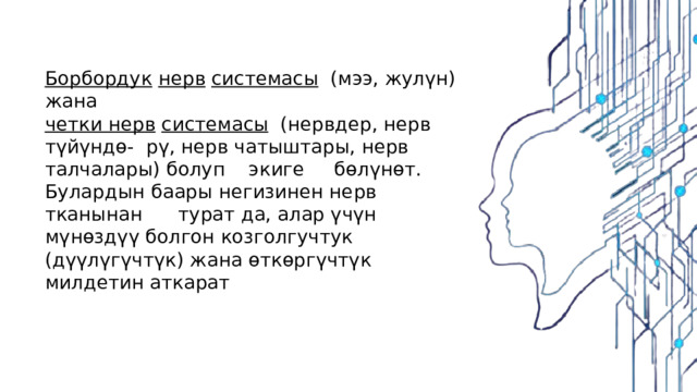 Борбордук   нерв   системасы   (мээ, жулүн) жана четки нерв   системасы   (нервдер, нерв түйүндө- рү, нерв чатыштары, нерв талчалары) болуп экиге бөлүнөт. Булардын баары негизинен нерв тканынан турат да, алар үчүн мүнөздүү болгон козголгучтук (дүүлүгүчтүк) жана өткөргүчтүк милдетин аткарат 