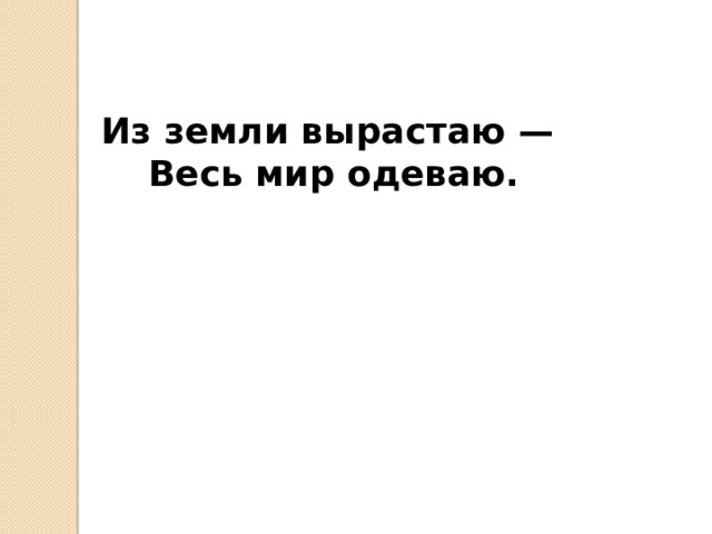 Из земли вырастаю —  Весь мир одеваю. 