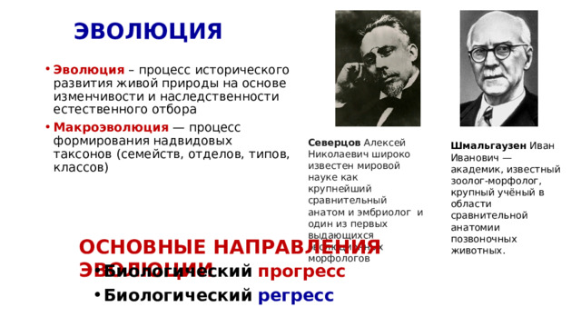 ЭВОЛЮЦИЯ Эволюция – процесс исторического развития живой природы на основе изменчивости и наследственности естественного отбора Макроэволюция — процесс формирования надвидовых таксонов (семейств, отделов, типов, классов) Северцов Алексей Николаевич широко известен мировой науке как крупнейший сравнительный анатом и эмбриолог и один из первых выдающихся эволюционных морфологов Шмальгаузен  Иван Иванович — академик, известный зоолог-морфолог, крупный учёный в области сравнительной анатомии позвоночных животных. ОСНОВНЫЕ НАПРАВЛЕНИЯ ЭВОЛЮЦИИ Биологический  прогресс Биологический  регресс 
