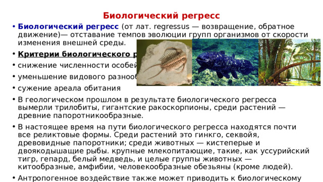 Биологический регресс Биологический регресс (от лат. regressus — возвращение, обратное движение)— отставание темпов эволюции групп организмов от скорости изменения внешней среды. Критерии биологического регресса: снижение численности особей уменьшение видового разнообразия сужение ареала обитания В геологическом прошлом в результате биологического регресса вымерли трилобиты, гигантские ракоскорпионы, среди растений —древние папоротникообразные. В настоящее время на пути биологического регресса находятся почти все реликтовые формы. Среди растений это гинкго, секвойя, древовидные папоротники; среди животных — кистеперые и двоякодышащие рыбы. крупные млекопитающие, такие, как уссурийский тигр, гепард, белый медведь, и целые группы животных — китообразные, амфибии, человекообразные обезьяны (кроме людей). Антропогенное воздействие также может приводить к биологическому регрессу видов, что грозит их вымиранием. 
