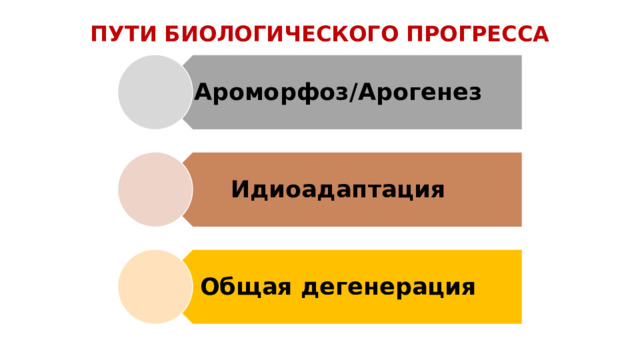Ароморфоз/Арогенез Идиоадаптация Общая дегенерация ПУТИ БИОЛОГИЧЕСКОГО ПРОГРЕССА 