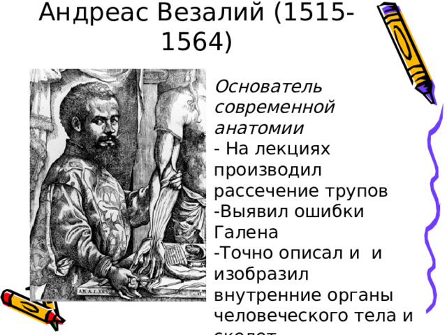 Санти   1483-1520   Изучал, описывал и зарисовывал строение тела человека 