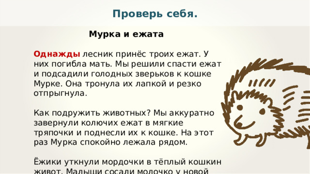 Проверь себя.  Мурка и ежата Однажды лесник принёс троих ежат. У них погибла мать. Мы решили спасти ежат и подсадили голодных зверьков к кошке Мурке. Она тронула их лапкой и резко отпрыгнула. Как подружить животных? Мы аккуратно завернули колючих ежат в мягкие тряпочки и поднесли их к кошке. На этот раз Мурка спокойно лежала рядом. Ёжики уткнули мордочки в тёплый кошкин живот. Малыши сосали молочко у новой мамы. Так домашняя кошка выкормила лесных зверят. 