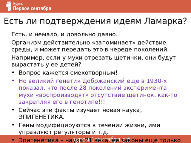 Есть ли подтверждения идеям Ламарка? Есть, и немало, и довольно давно. Организм действительно «запоминает» действие среды, и может передать это в череде поколений. Например, если у мухи отрезать щетинки, они будут вырастать у ее детей? Вопрос кажется смехотворным! Но великий генетик Добржанский еще в 1930-х показал, что после 28 поколений эксперимента мухи «воспроизводят» отсутствие щетинок, как-то закрепляя его в генотипе!!! Сейчас эти факты изучает новая наука, ЭПИГЕНЕТИКА. Гены модифицируются в течении жизни, ими управляют регуляторы и т.д. Эпигенетика – наука 21 века, ее законы еще только открываются… 