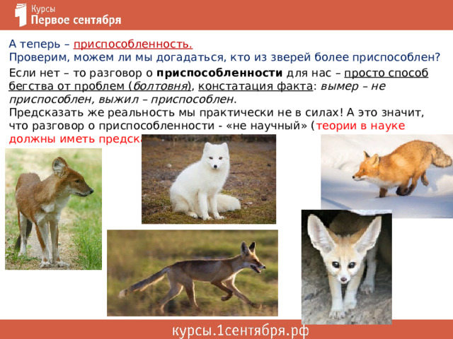 А теперь – приспособленность.  Проверим, можем ли мы догадаться, кто из зверей более приспособлен? Если нет – то разговор о приспособленности для нас – просто способ бегства от проблем ( болтовня ) , констатация факта : вымер – не приспособлен, выжил – приспособлен .  Предсказать же реальность мы практически не в силах! А это значит, что разговор о приспособленности - «не научный» ( теории в науке должны иметь предсказательную силу ). 