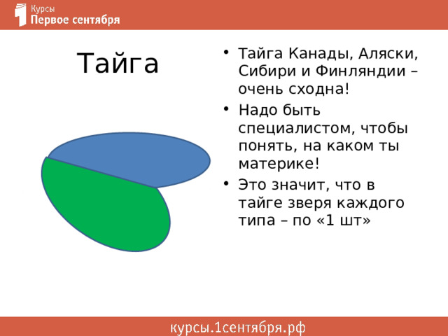 Тайга Тайга Канады, Аляски, Сибири и Финляндии – очень сходна! Надо быть специалистом, чтобы понять, на каком ты материке! Это значит, что в тайге зверя каждого типа – по «1 шт» 