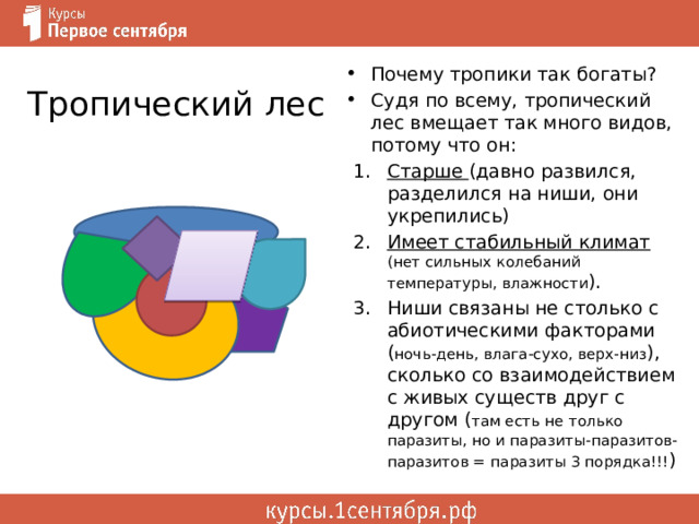 Тропический лес Почему тропики так богаты? Судя по всему, тропический лес вмещает так много видов, потому что он: Старше (давно развился, разделился на ниши, они укрепились) Имеет стабильный климат (нет сильных колебаний температуры, влажности ). Ниши связаны не столько с абиотическими факторами ( ночь-день, влага-сухо, верх-низ ), сколько со взаимодействием с живых существ друг с другом ( там есть не только паразиты, но и паразиты-паразитов-паразитов = паразиты 3 порядка!!! ) 