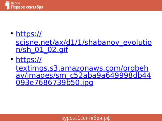 https:// scisne.net/ax/d1/1/shabanov_evolution/sh_01_02.gif https:// textimgs.s3.amazonaws.com/orgbehav/images/sm_c52aba9a649998db44093e7686739b50.jpg 
